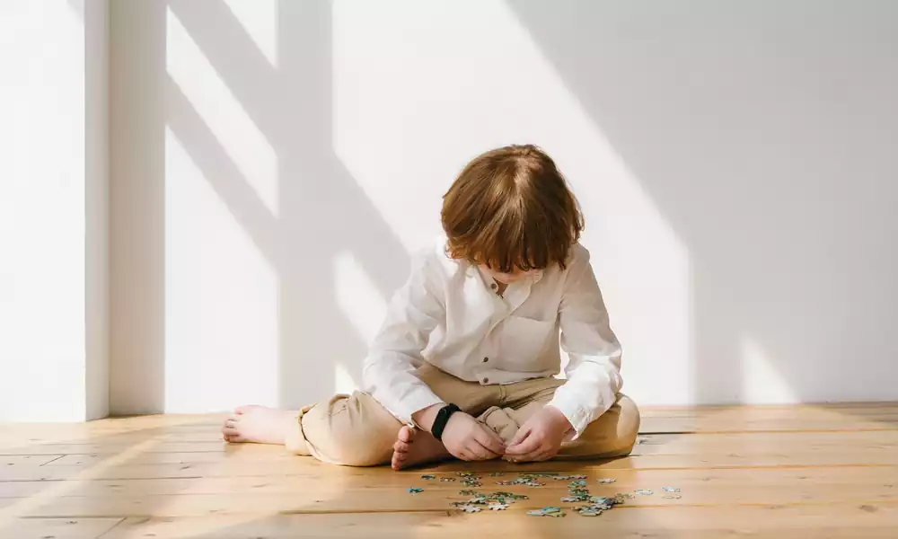What causes autism